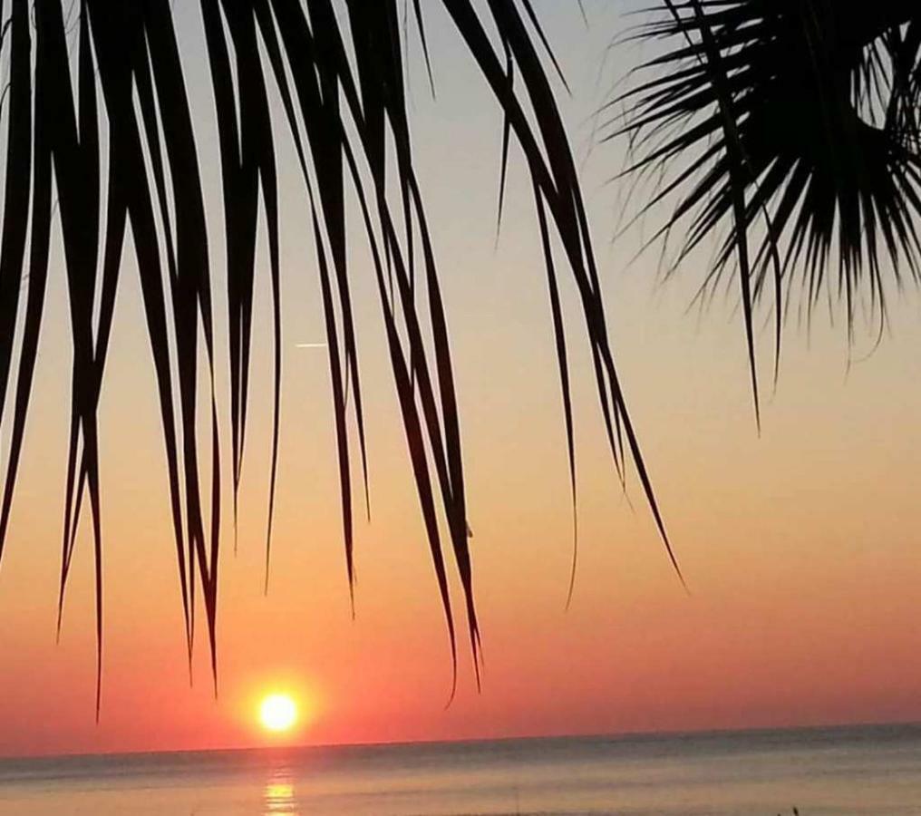 The Palms Resort-Oceanfront Μιρτλ Μπιτς Εξωτερικό φωτογραφία